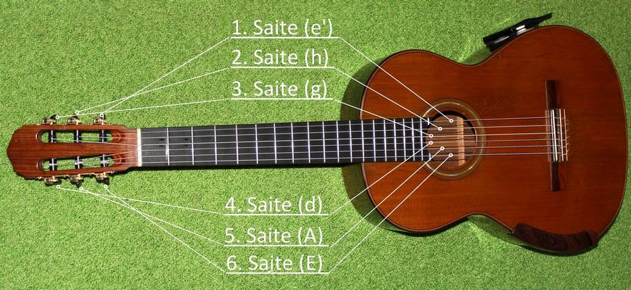Stammtöne im Notensystem